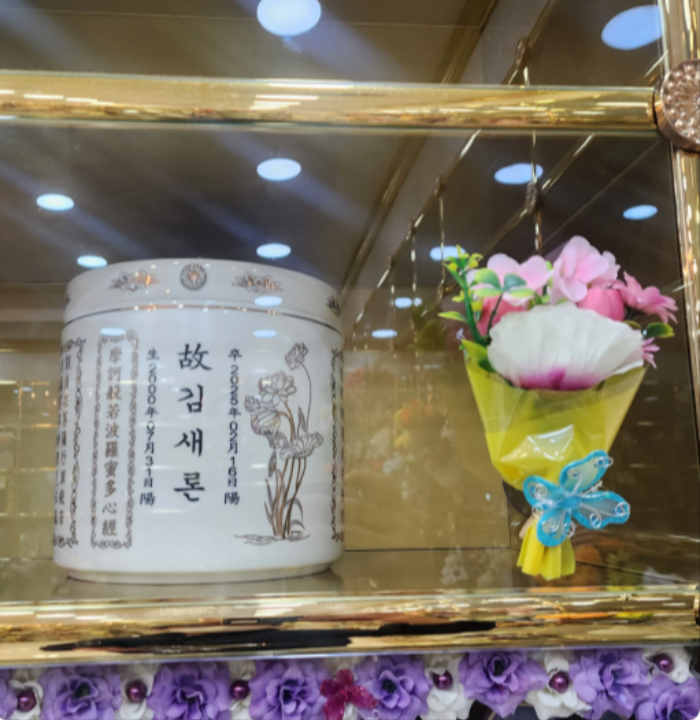 김새론 납골함, 사진 하나 없이 휑…마음 아파 꽃 두고 온 시민