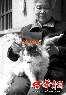 `날개달린 고양이`는 천사 고양이?…화제 만발