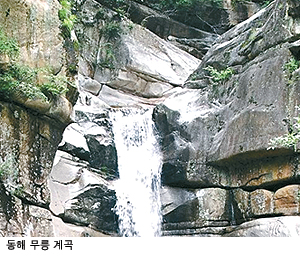 [내륙 관광지] 올 여름엔 생태 테마여행