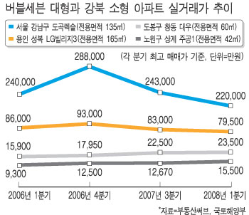 대형아파트 신화 깨지나…도곡 렉슬 1년새 6억 떨어져