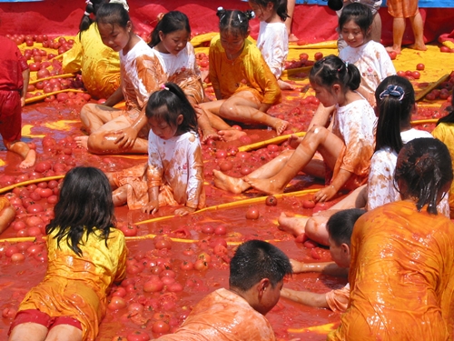 토마토, 이보다 좋을 순 없다?