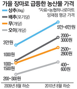 야채·과일값 최고 3배 급등