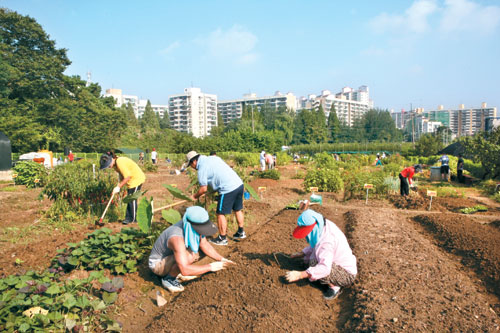 취미로 시작한 텃밭가꾸기 이젠 직업됐죠