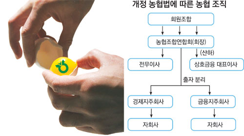 농협법 개정안 연내 통과안되면…농산물 유통 선진화 지연