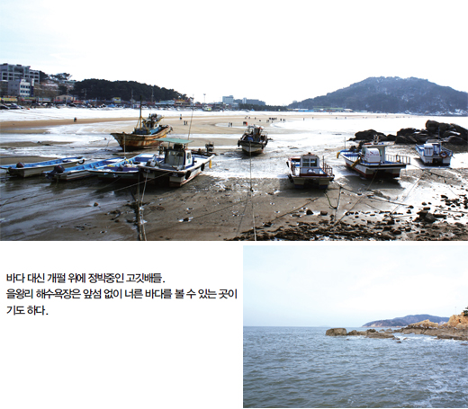 [훌쩍 떠나는 여행] 용유도 겨울바다 3종 세트