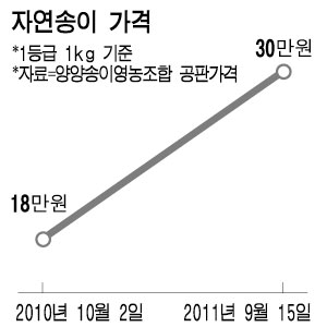 자연송이버섯 맛보기 쉽지않네