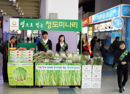 코레일유통, 기차역에서 청도미나리 맛보세요