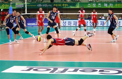 순우리인삼, 한국남자배구 국가대표팀 후원