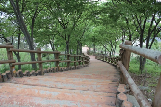 달빛에 홀려 떠도는 서해안…황홀한 풍경 영광 백수해안도로