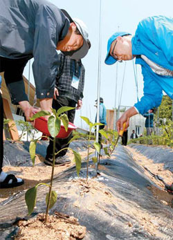 평범한 샐러리맨 귀농으로 억대버는 비결