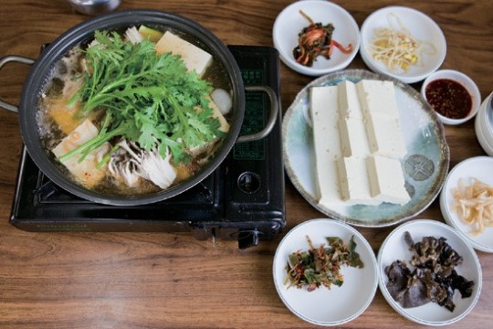 [여행이 최고]가을을 부르는 향기 가평 축령산 잣나무숲