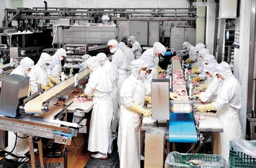 체리부로, 30만마리 종계장 급수·방역 `최상`