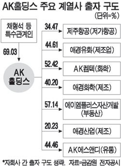 지주사 전환 잘되니…AK홀딩스株 `쑥쑥`