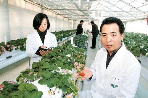 `딸기박사` 만난 朴당선인 종자산업이 농촌의 희망