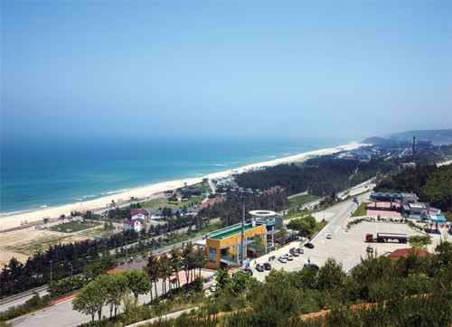 [Rest Area Travel]호두과자, 우동아, 미안해…2013 여름에 떠나보는 휴게소 투어
