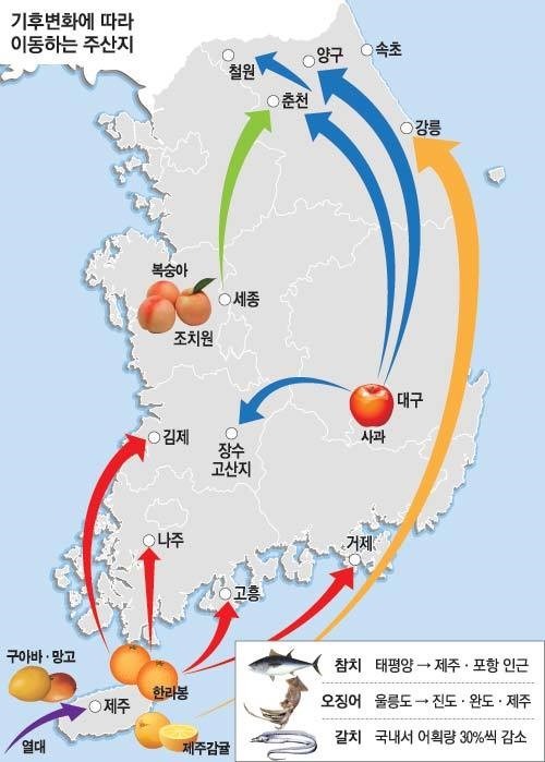 남태평양 원양 참치 제주·포항서 잡힌다