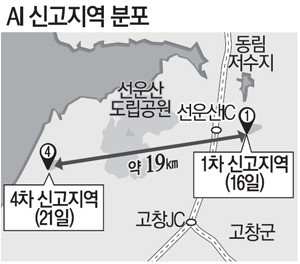 가창오리떼 행방 묘연…살처분 범위 3㎞로