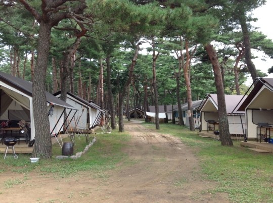 송이의 고장 양양오토캠핑장