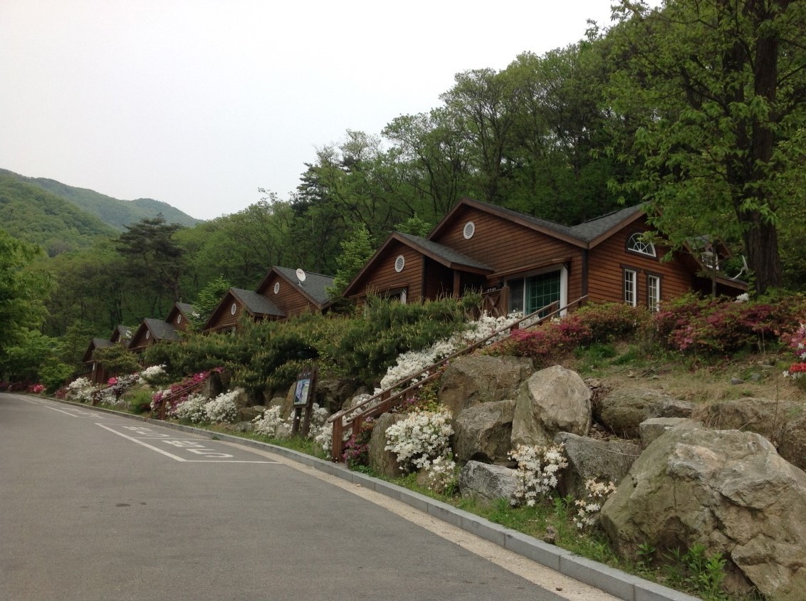 용인 자연 휴양림 캠핑장