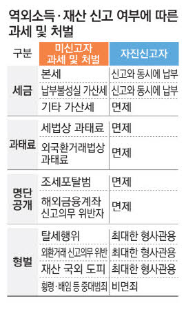 조세회피처 재산도 포함…횡령·배임은 처벌 불가피