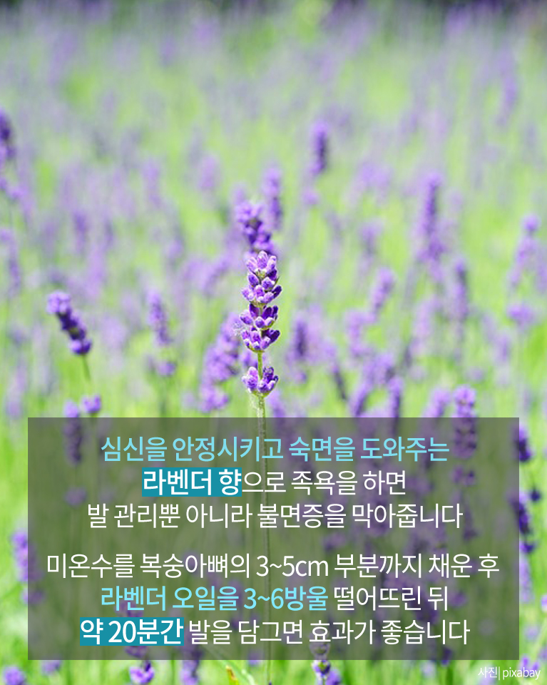 [카드뉴스] 여름철 `발 끝`까지 아름답게! 발 관리 팁