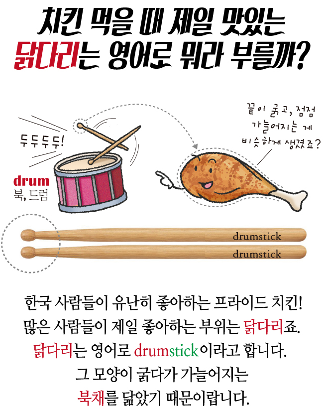 치킨 먹을 때 제일 맛있는 닭다리는 영어로 뭐라 부를까?