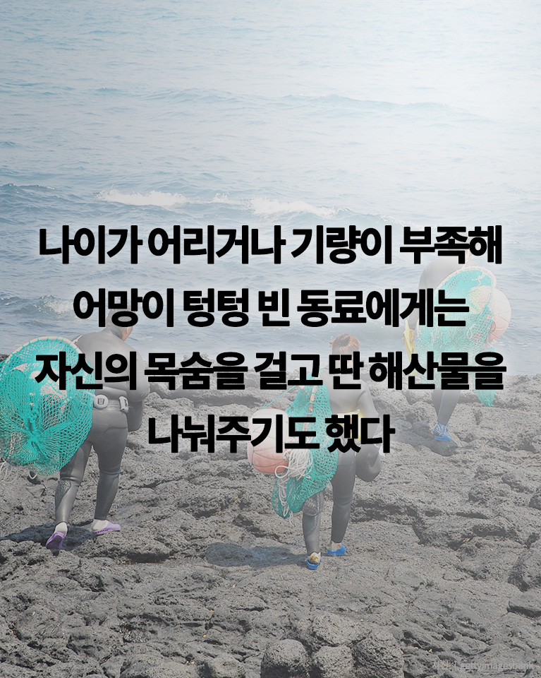 [카드뉴스] 해촌의 신부는 안 된다 편견에 맞선 강한 여인