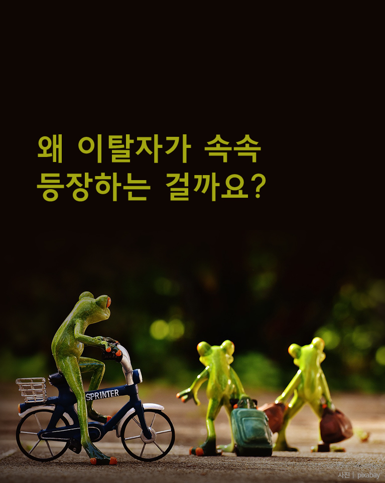 [카드뉴스] `꿀알바`라고? 게스트하우스 스탭의 민낯