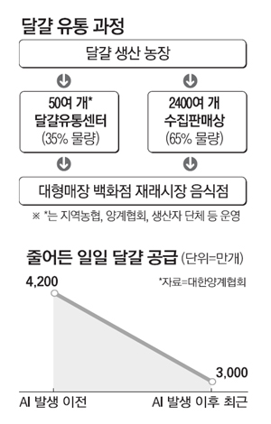 `계란 대란`의 부끄러운 비밀