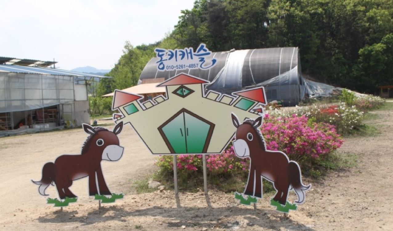 체험형 캠핑장의 꽃... 홍천 동키캐슬 캠핑장!!
