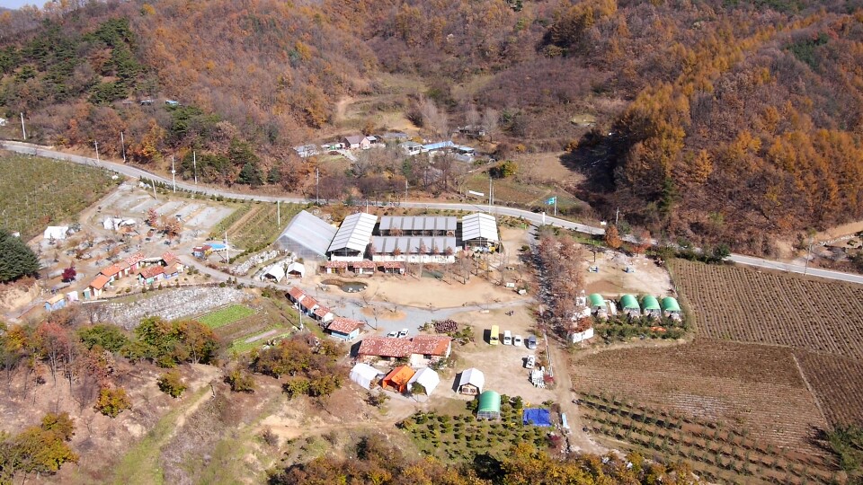 팜(Farm)핑의 대명사 햇살아래 캠핑장!!