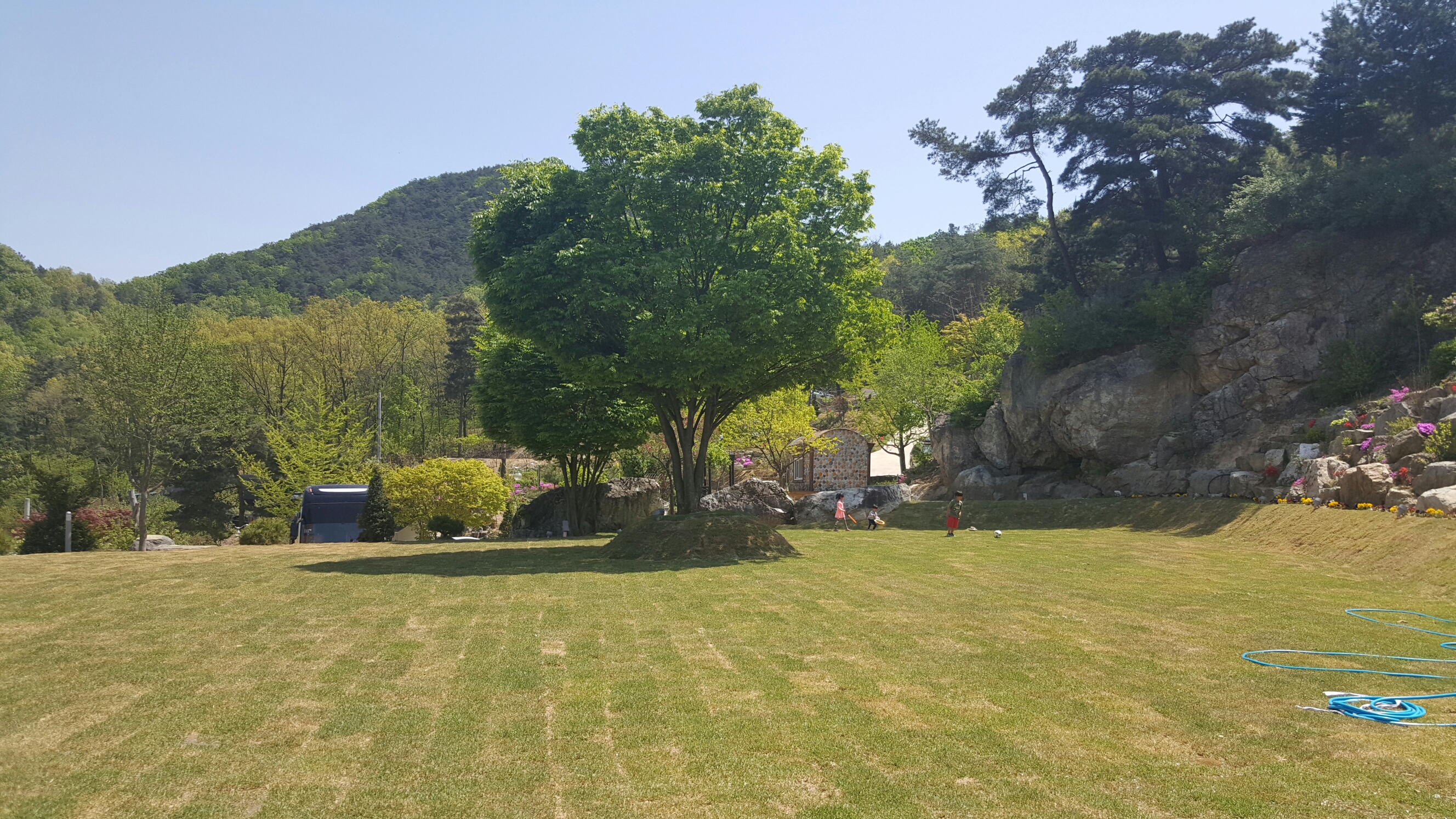 옥천군 명물 마로니에 숲 캠핑장