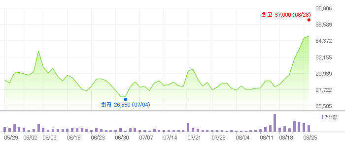 패션업계 부진속 F&F, MLB 앞세워 `나홀로 홈런`
