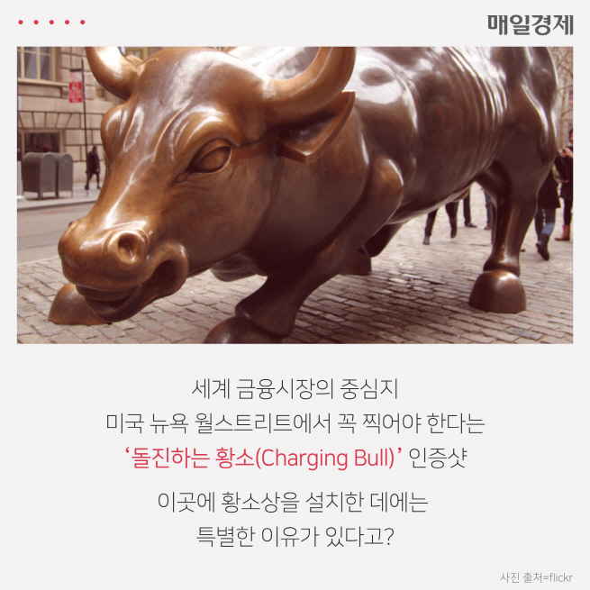 [카드뉴스] 뉴욕 월가에는 왜 황소상이 있을까?
