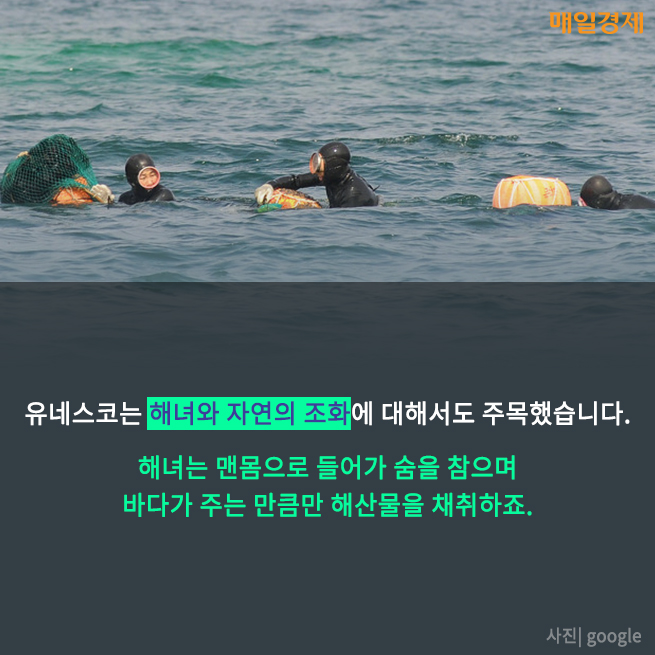 [카드뉴스] 제주 해녀의 숨비소리는 이어질 수 있을까