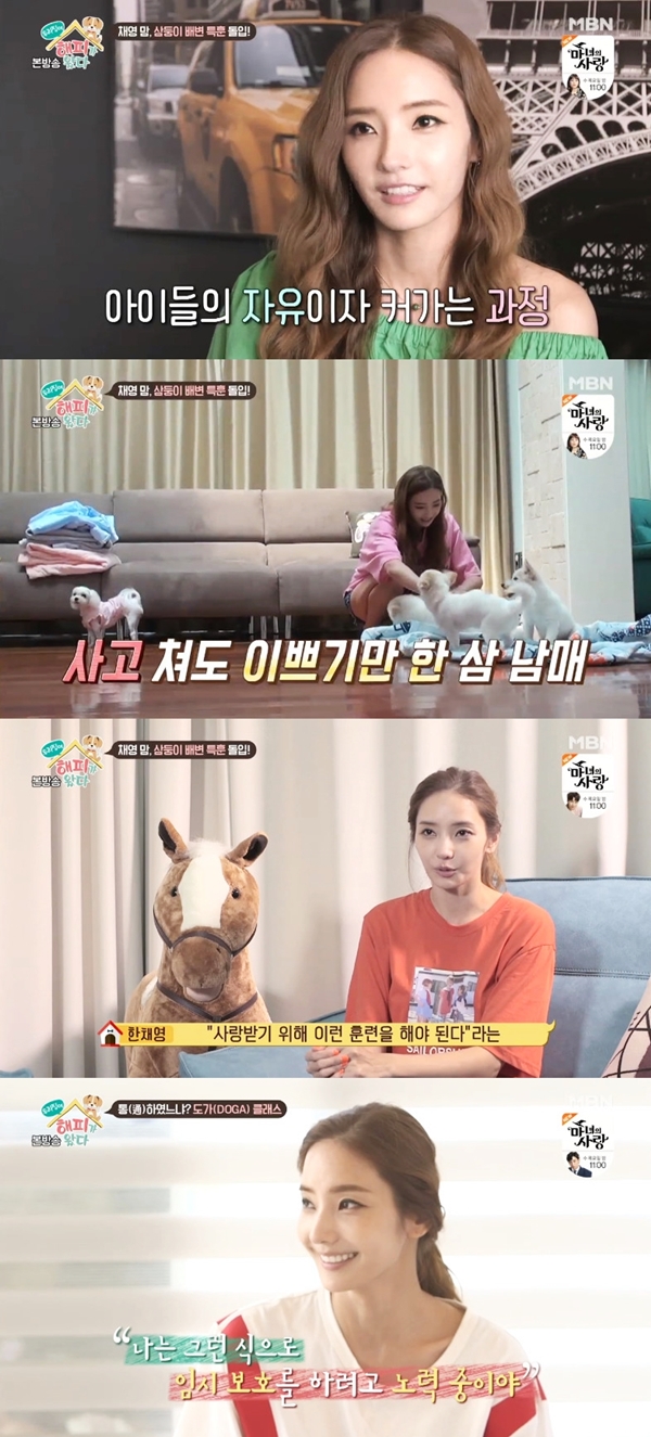 `우리집에 해피가 왔다` 한채영의 소신과 진심 `뭉클한 감동`
