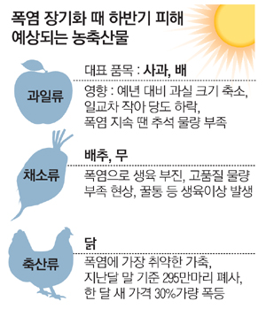 농축수산물發 가격상승…더 센 물가 후폭풍 온다