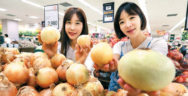 풍년의 역설…큰 양파가 더 싸다