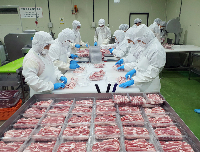 이미 무항생제 돼지도 고기 분류할 때 항생제 검사 하고 또하고…무항생제 돼지 도축가공공장 가보니