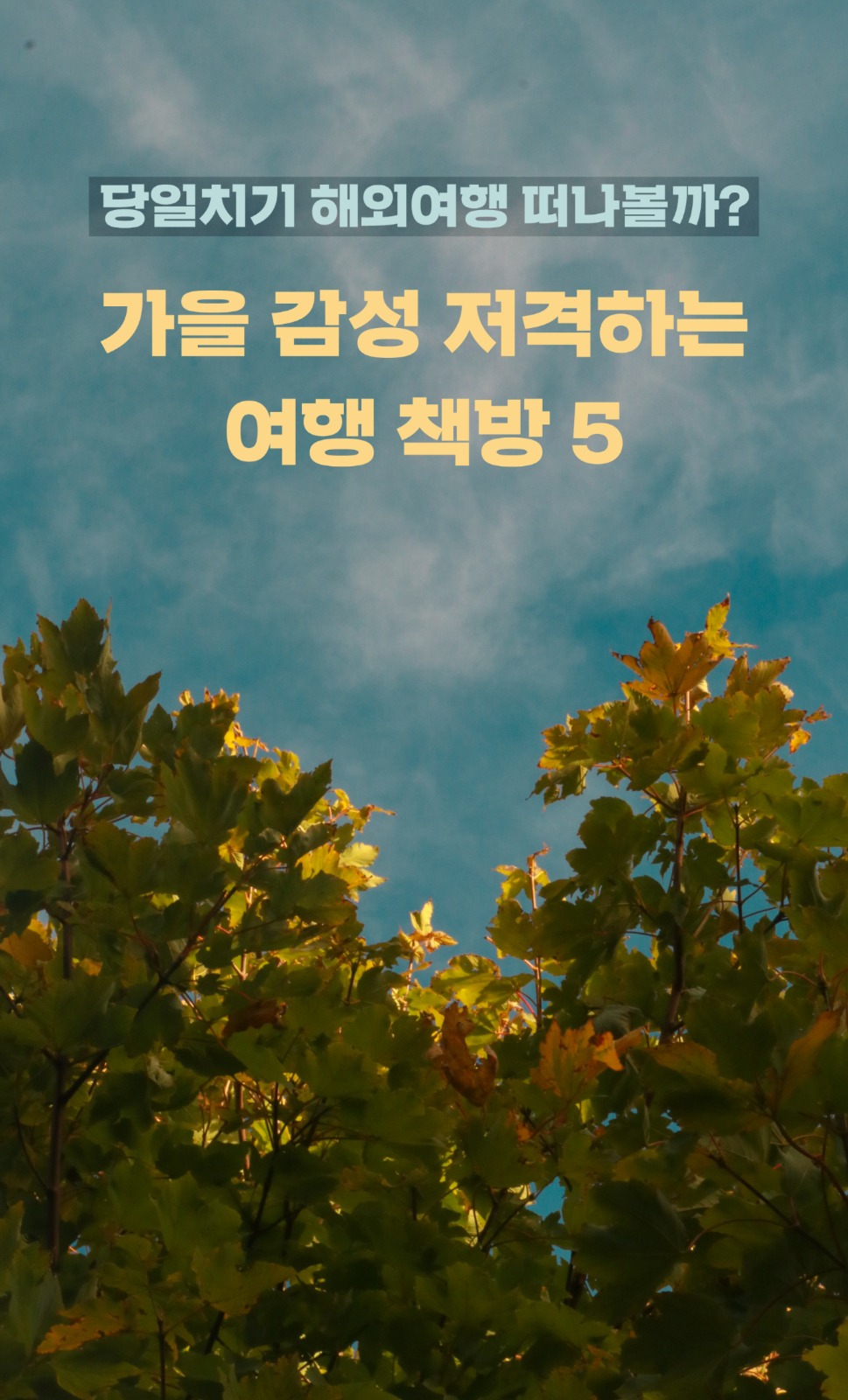 [카드뉴스] 가을 감성 저격하는 여행 책방 5