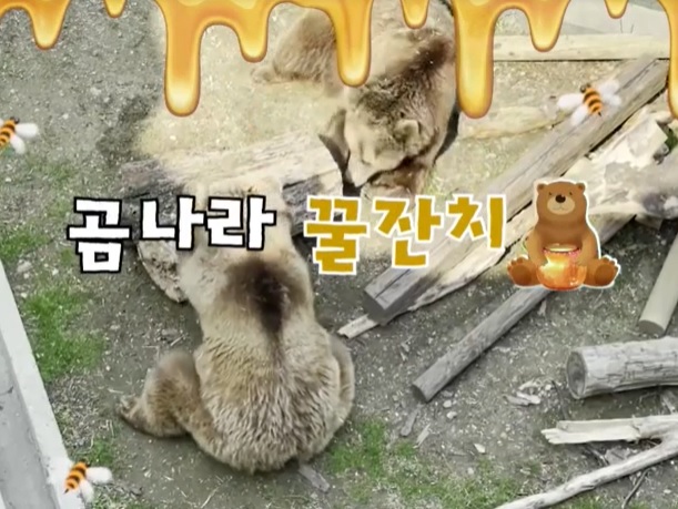 곰나라 꿀잔치, 옥돔 먹는 수달…서울대공원 순간포착 영상보니 [영상]