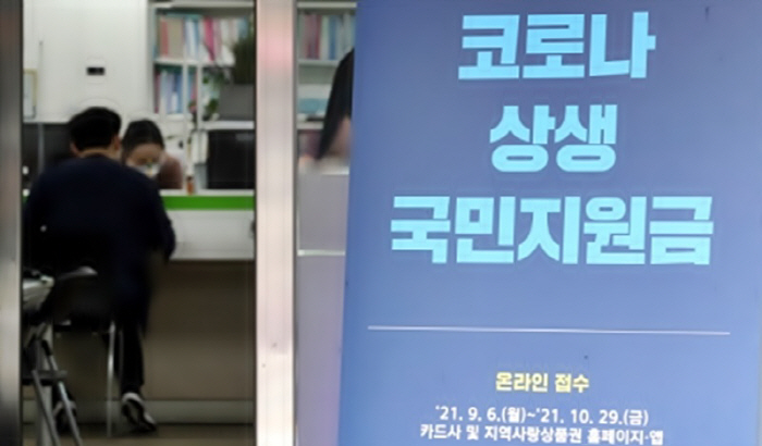 배민 나이키 삼성디지털프라자도 가능…국민지원금 써보니