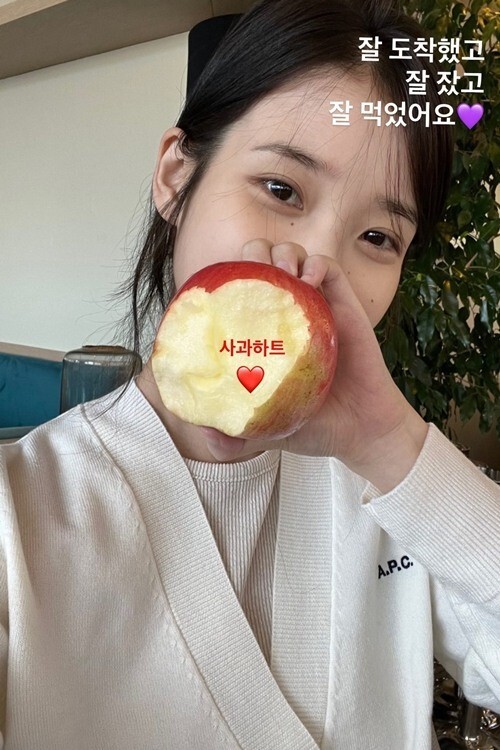칸 입성 아이유 잘 도착했어요 사과하트 뿅