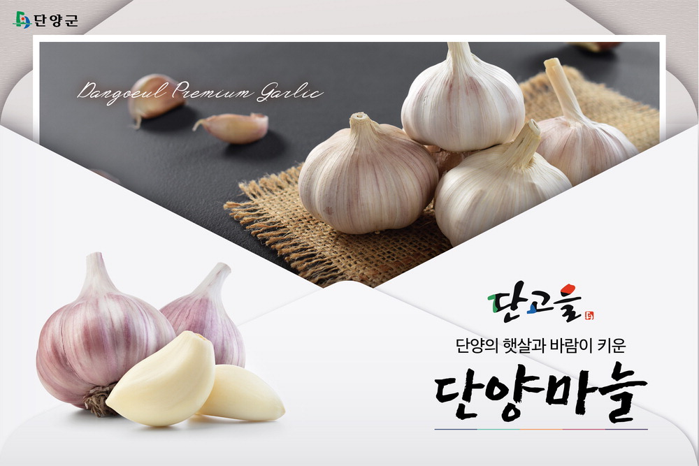 단고을, 한국인 대표 건강식품 단양 황토마늘