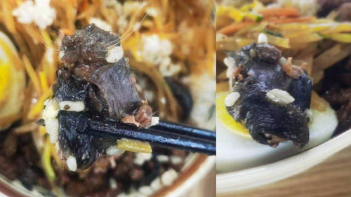 중국 식당서 또 쥐머리...네티즌 “빙산의 일각” 아우성