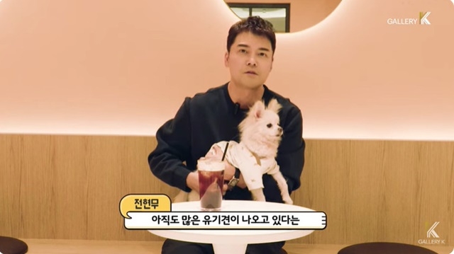 “밉다고 가족 버리나?”...‘무스키아’ 전현무 참여한 유기견 전시회