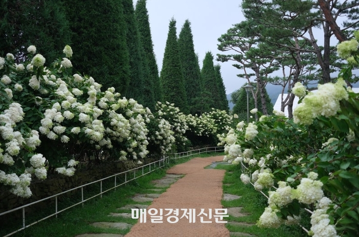배우는 뭐하면서 쉴까…배우 최다니엘 따라 강화 여행가보니 [타인의 여행]