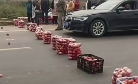 “안 사면 못 지나간다”…사과 장수가 도로 위에서 한 짓 ‘경악’