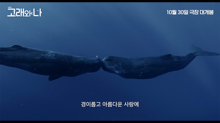 우리는 늘 함께였다, ‘고래와 나’[MK무비]