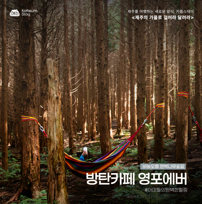 제주 도보여행 추천 마을 5곳, 숙소·카페·식당 정보 다 모았다